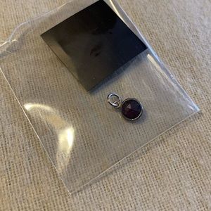 Stella and Dot Silver January Birthstone Charm